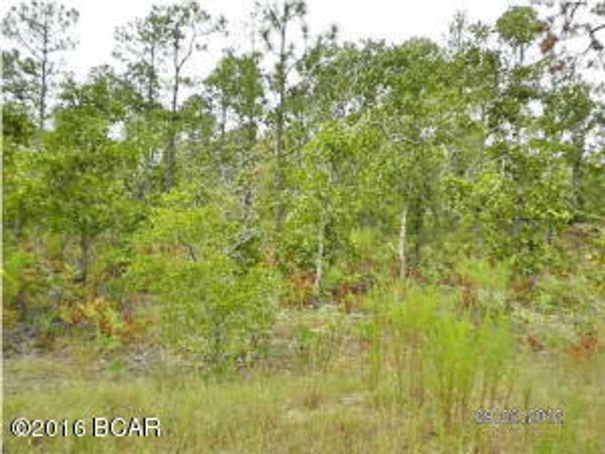 REDUCED!! BANKRUTPCY SALE!! 28.7 total acres in two parcels(30' road easement comes off East Side of property), wooded, sloping, sandy, small spring fed creek runs across property, County maintenance seems to end just short of the property although easements are in place and a passable road is on the easement. If property were to be built on, easement would need to be improved because of being veRy sandy. Good hunting for deer and turkey. Both parcels need to be sold as one. BRING YOUR OFFERS TODAY.