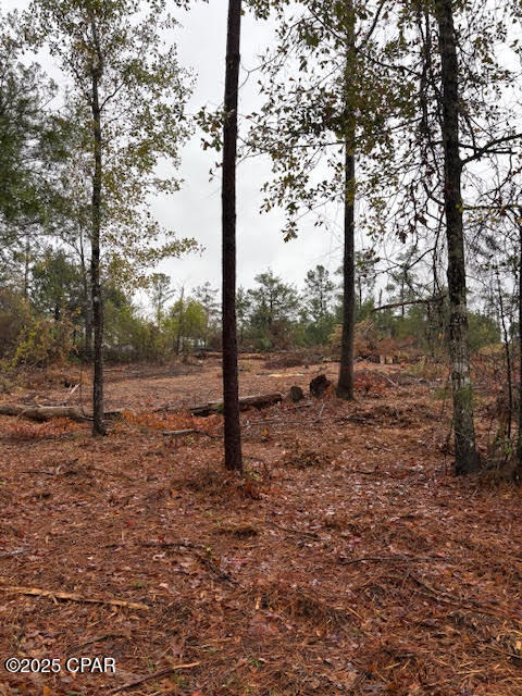 Meadow View Estates - Land