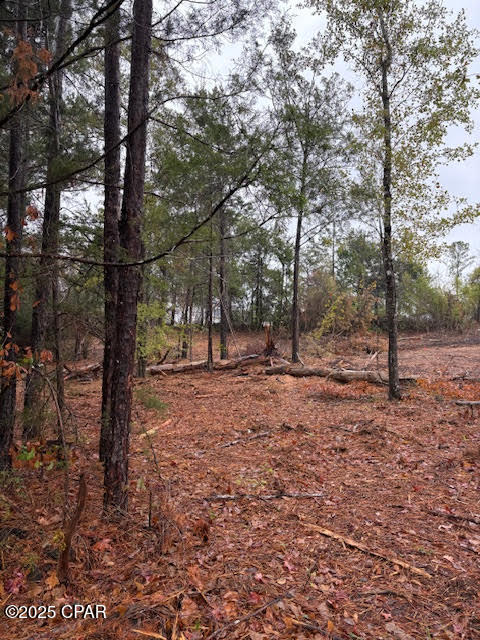 Meadow View Estates - Land