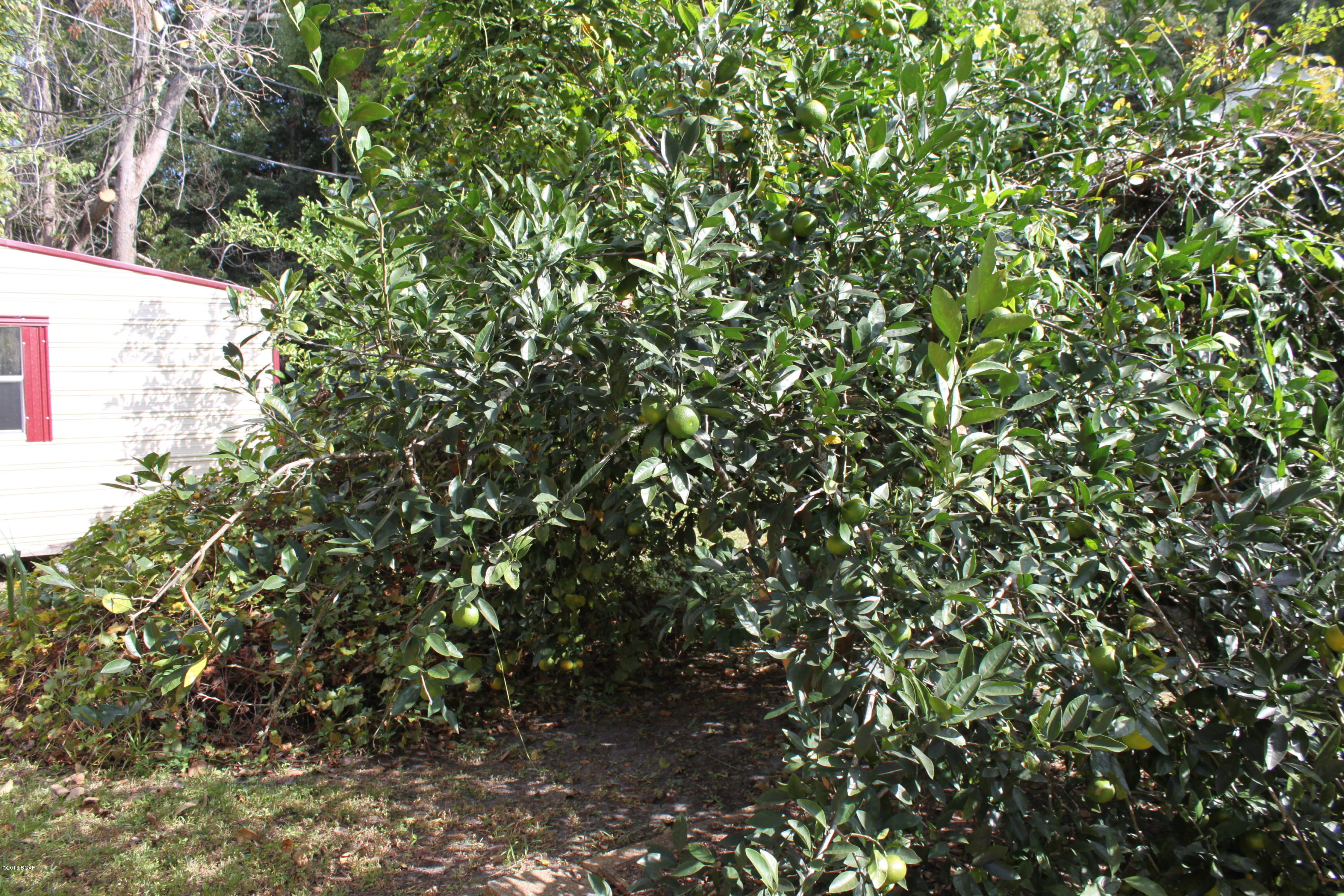 Oak Grove - Residential