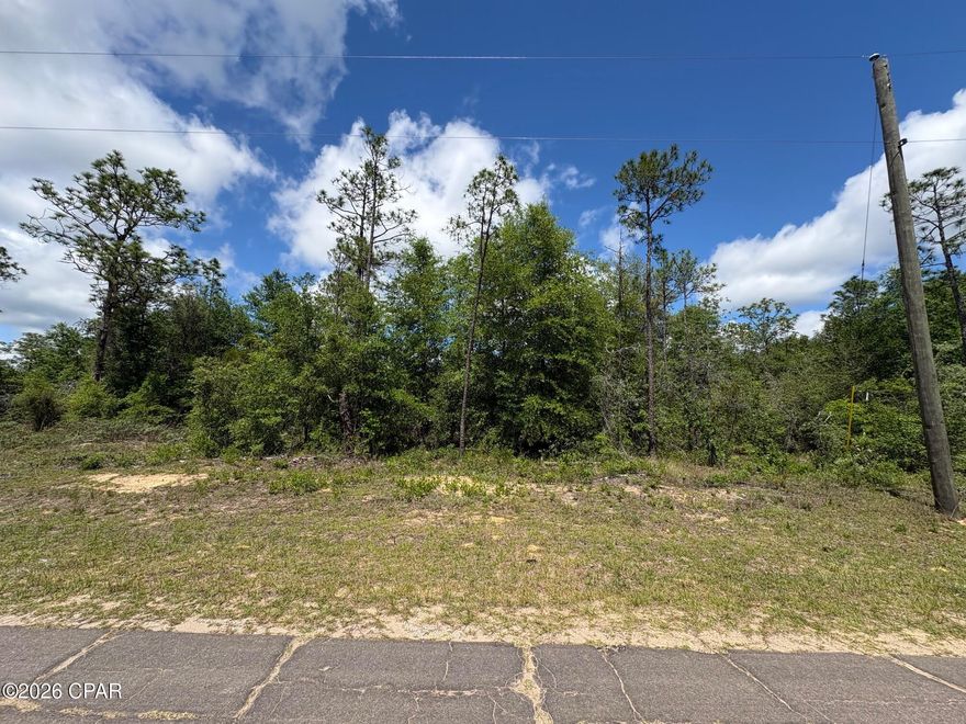 Excellent opportunity to own a beautiful .228-acre residential building lot in Unit 1 of Sunny Hills, located at Lot 23 on Rockford Drive. This lightly treed parcel features flat and level elevations, making it an ideal homesite for easy and cost effective construction. Conveniently located very close to Highway 77, this property offers quick access north to Chipley and south to Panama City and the Gulf Coast beaches. The lot is situated in one of the more accessible areas of Sunny Hills while still maintaining the peaceful atmosphere and natural beauty the community is known for. With water and power available, this property is ready for immediate development and perfectly suited for a builder, investor, or future homeowner looking to secure land in a rapidly growing Northwest Florida market.
Sunny Hills continues to see strong new construction activity, increasing demand, and rising interest from both builders and buyers searching for affordable Florida property with room to grow. The flat topography and excellent location make this lot especially attractive for future development. Priced to sell -- don't wait. Get this one before the builders buy them all!