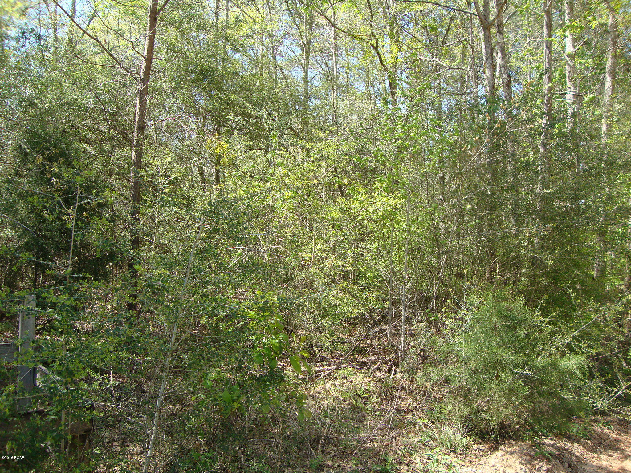 [No Recorded Subdiv] - Land