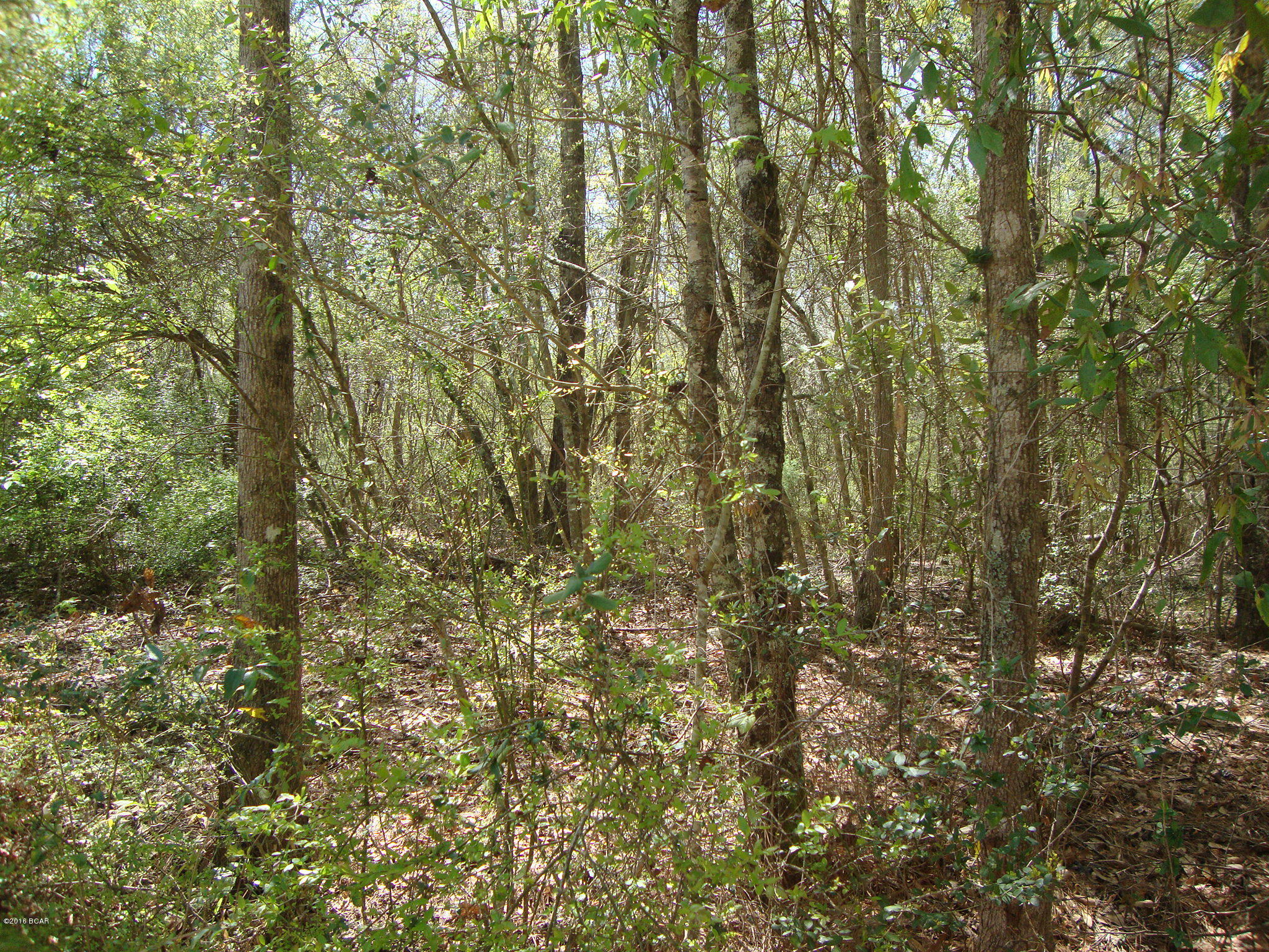 [No Recorded Subdiv] - Land