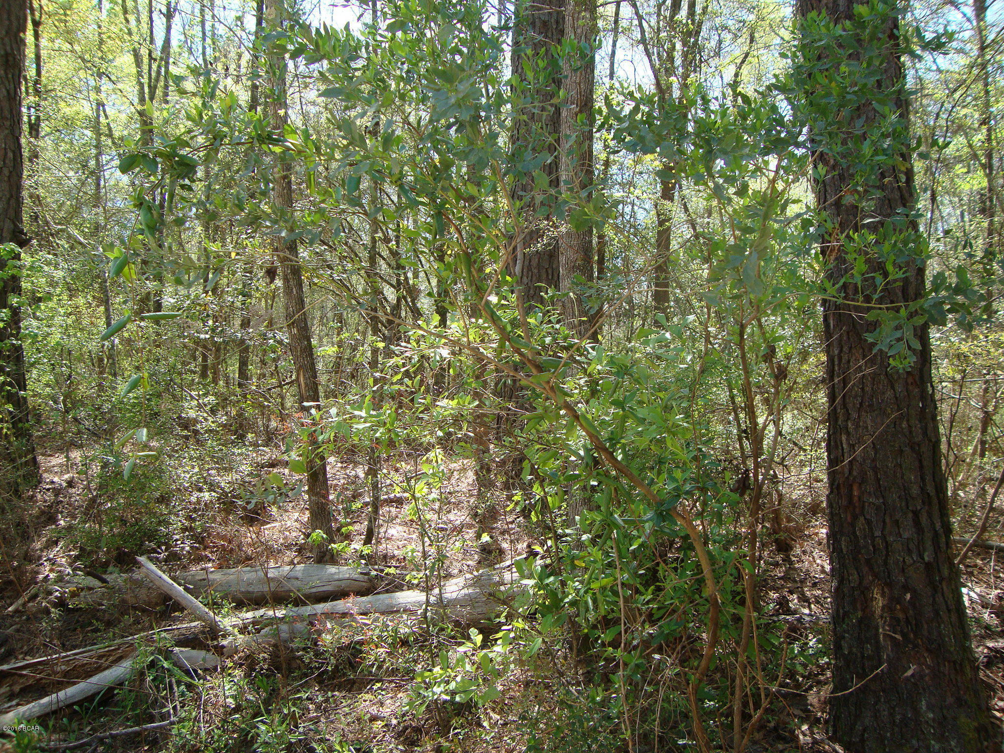 [No Recorded Subdiv] - Land