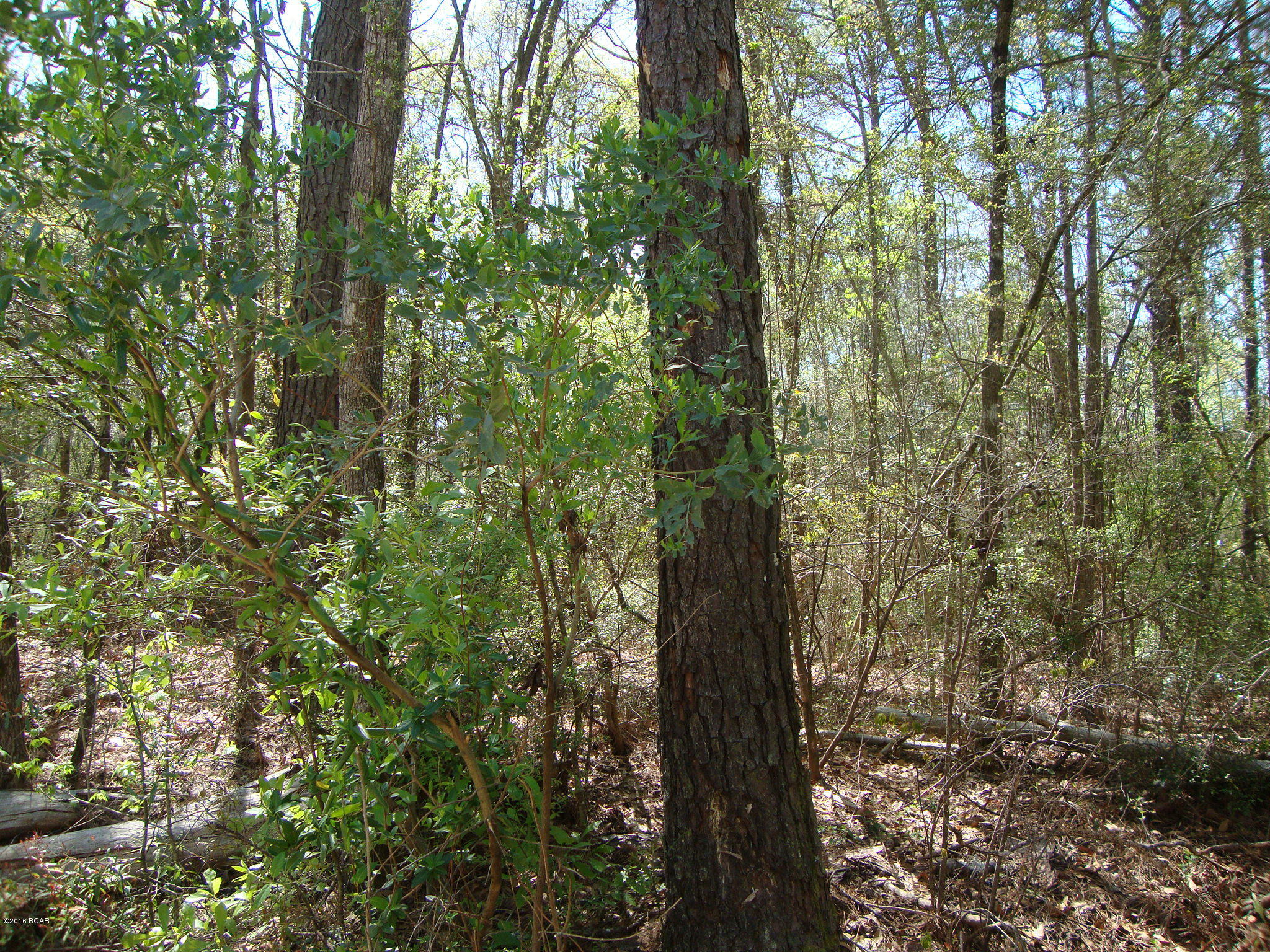 [No Recorded Subdiv] - Land