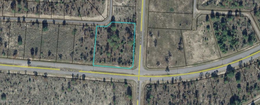 Commercial lot on main road into Sunny Hills. Near Wilder Park, Sunny Hills Library Washington County polling location and McKenna Community Center.  Also near many lakes, boat landings and other amenities offered in Sunny Hills. Sunny Hills commercial also allows multi-family residential.   Frontage on both Sunny Hills Blvd. & Gables Blvd.  with commercial alley at rear of property.  Subject to Sunny Hills Unit Four deed restrictions of record.  MSBU assessment of $12.27 annually is collected with the tax bill.