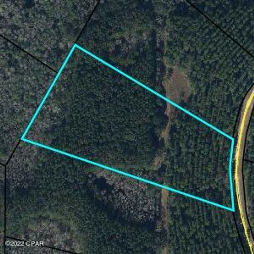 The Reedy Creek Subdivision does have restrictions and an annual HOA fee that is used for maintaining the dirt road access. Each lot/property has underground power to the corner of the property.