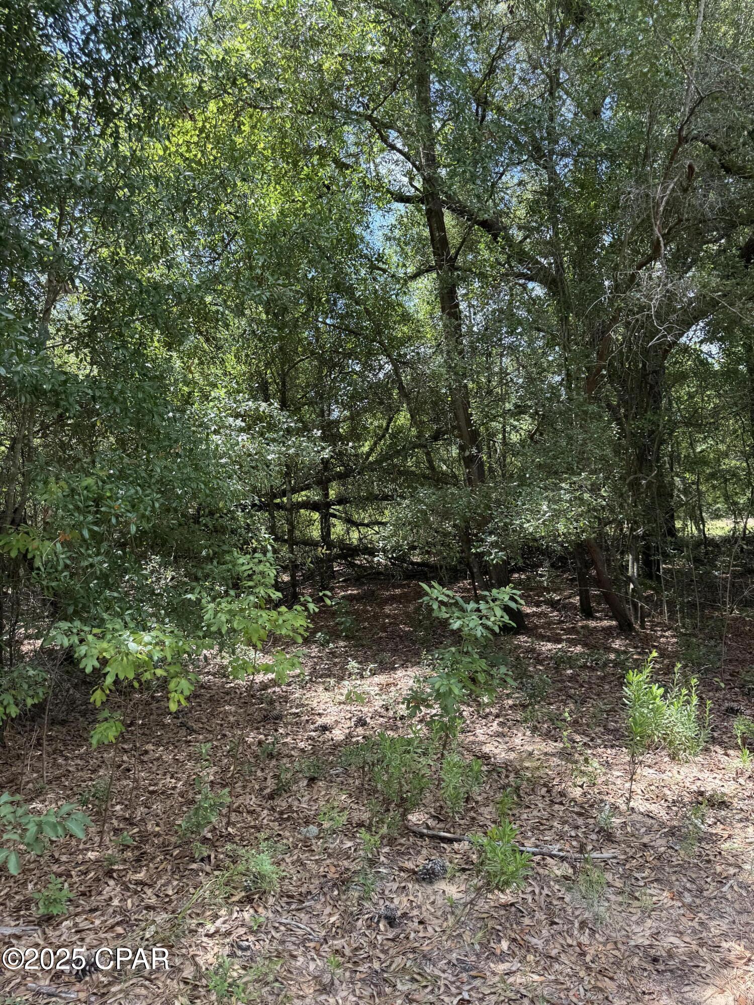 Compass Lake Hills Unit 1 - Residential