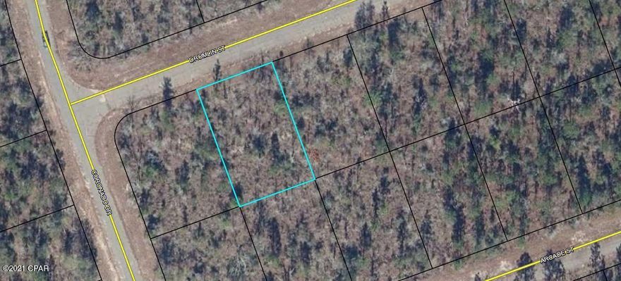 Building lot not too far to the golf course and Highway 77! This lot is high and dry and not in a flood zone. Sunny Hills has 26 lakes/ponds, including crystal clear Gap Pond and the well-known Boat Lake. There are 5 boat landings in the community for the fishermen. Deed restricted, but there is no HOA fee that applies. No mobile homes. Enjoy the slower pace of life this area has to offer and significantly lower taxes! Washington County is among the top five counties in the state of Florida that have the lowest property taxes. This lot is only a 20 minute drive from Chipley or Bonifay and about 45 minutes from PCB. Buyer to pay owner's title policy + title fees.