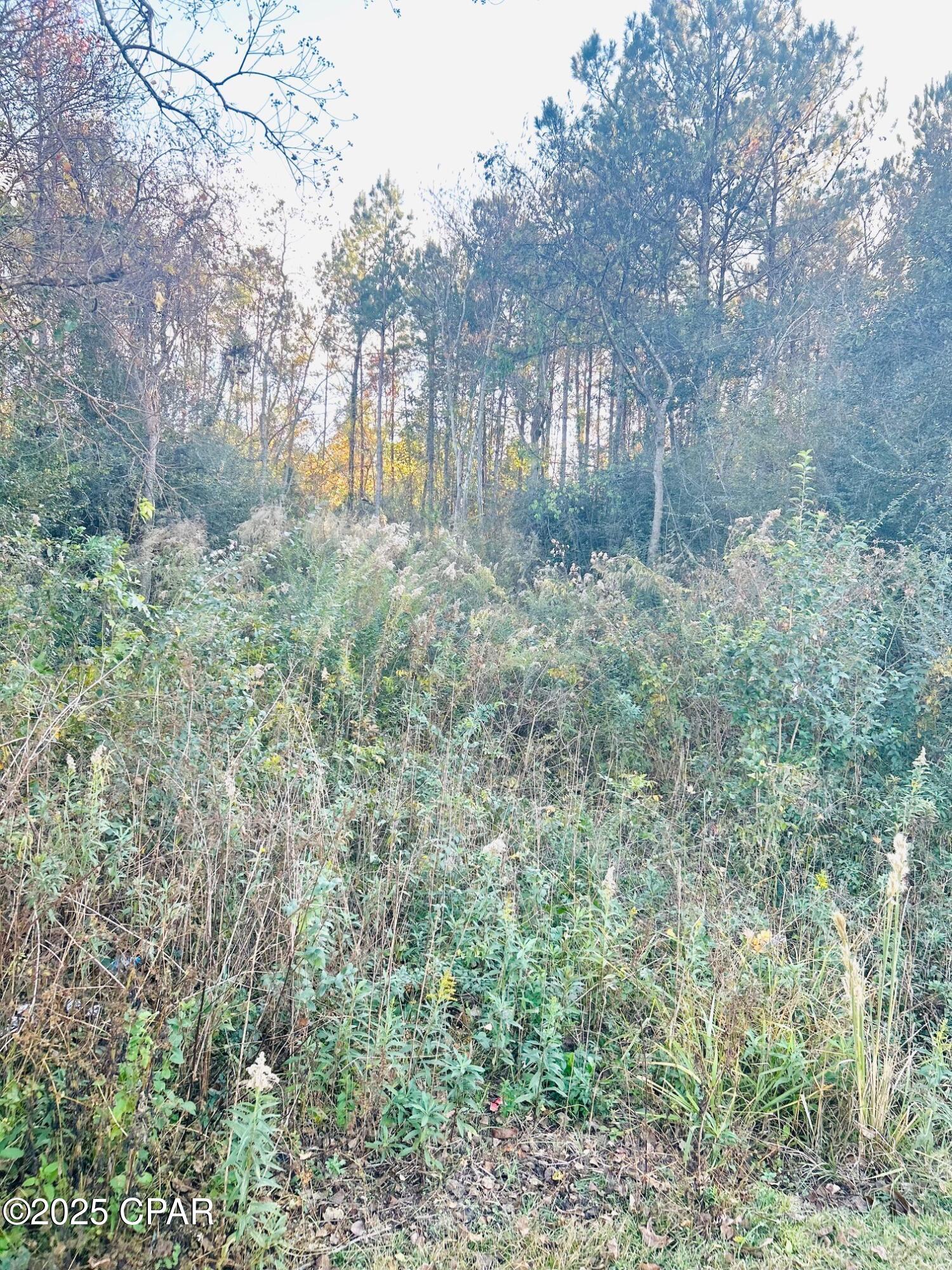 [No Recorded Subdiv] - Land