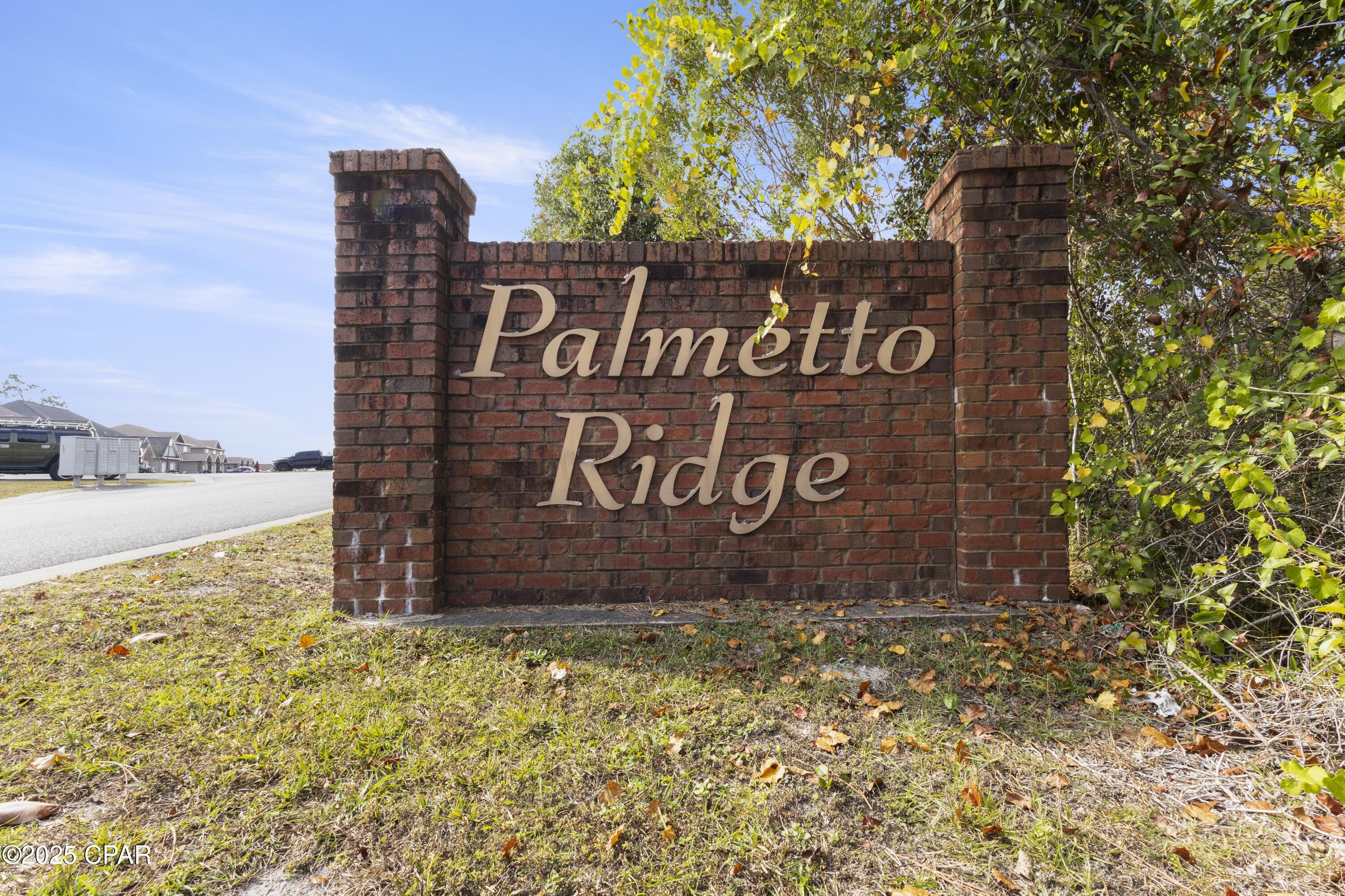 Palmetto Ridge - Residential