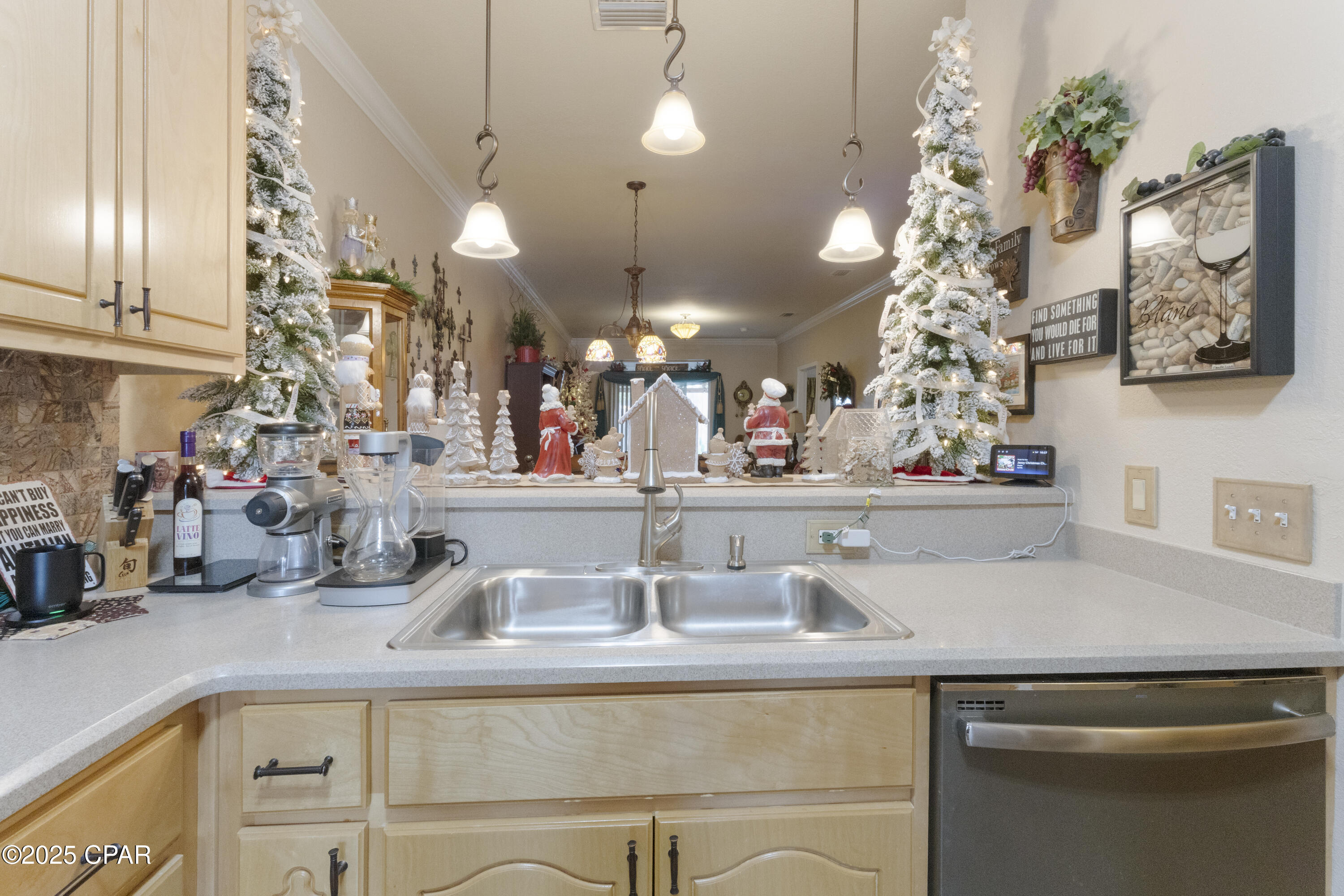 Palmetto Ridge - Residential