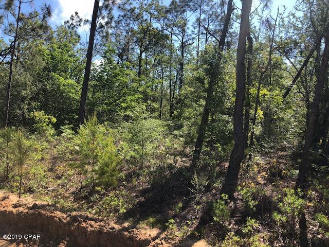 Buckhorn Creek - Land