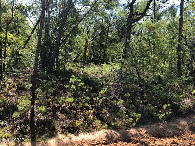 Buckhorn Creek - Land