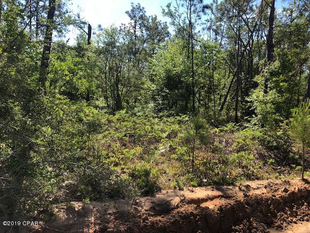 Buckhorn Creek - Land