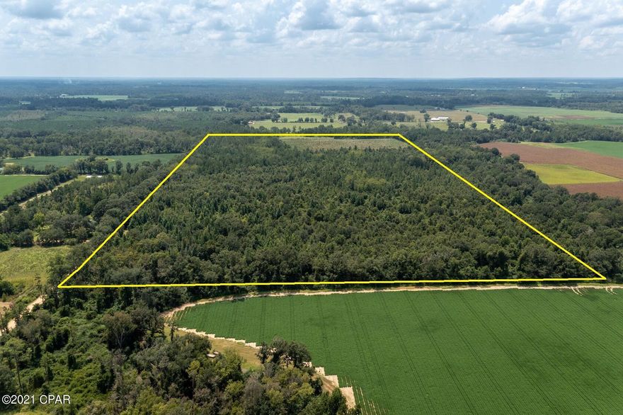 Pick your homesite with this 80 +/- acre parcel. So much potential to have a private home place or with some clearing, a working farm. Property is mostly wooded with a cleared area in the back for your personal garden spot or deer plot. Not far from Hwy 231 for travel to Panama City to the south and Dothan, AL to the north.