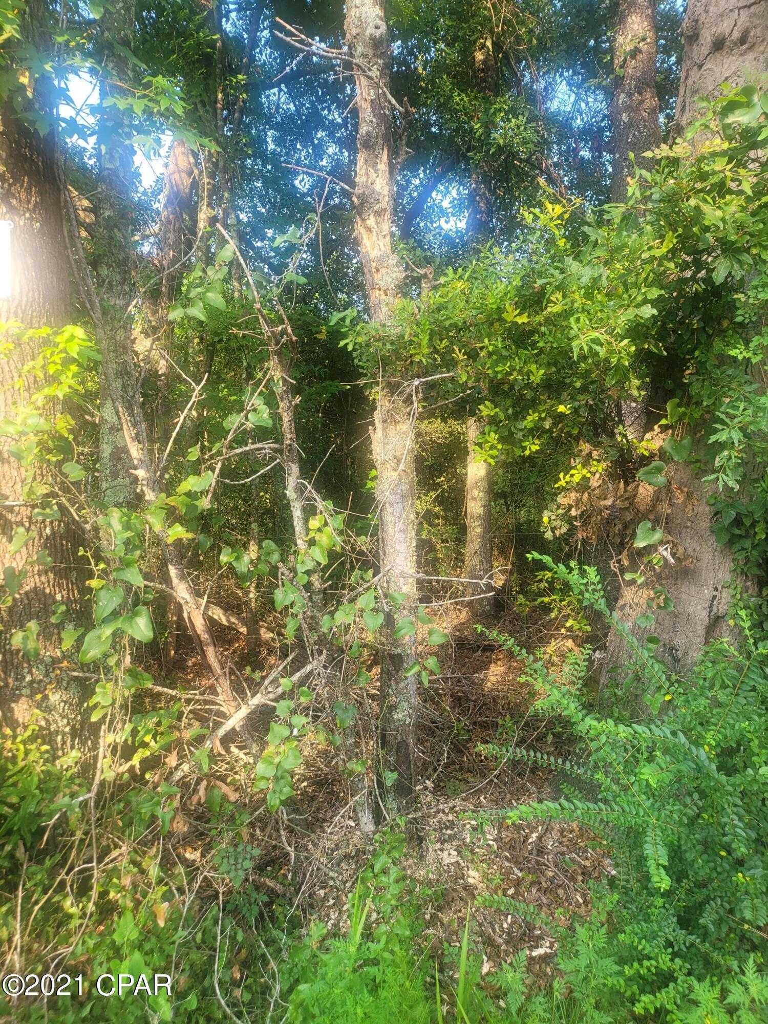 No Named Subdivision - Land