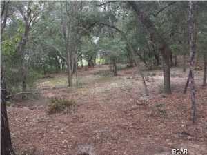 Leisure Lakes - Land