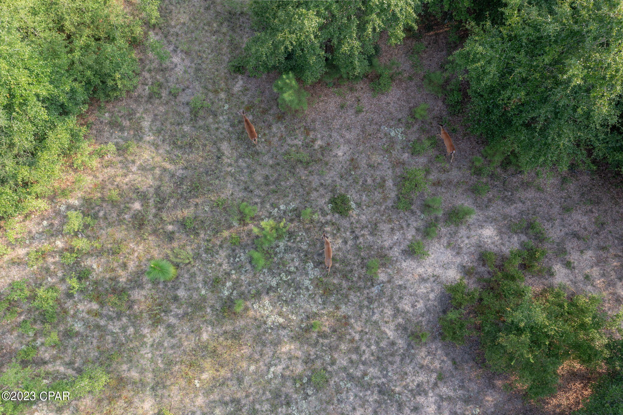 [No Recorded Subdiv] - Land