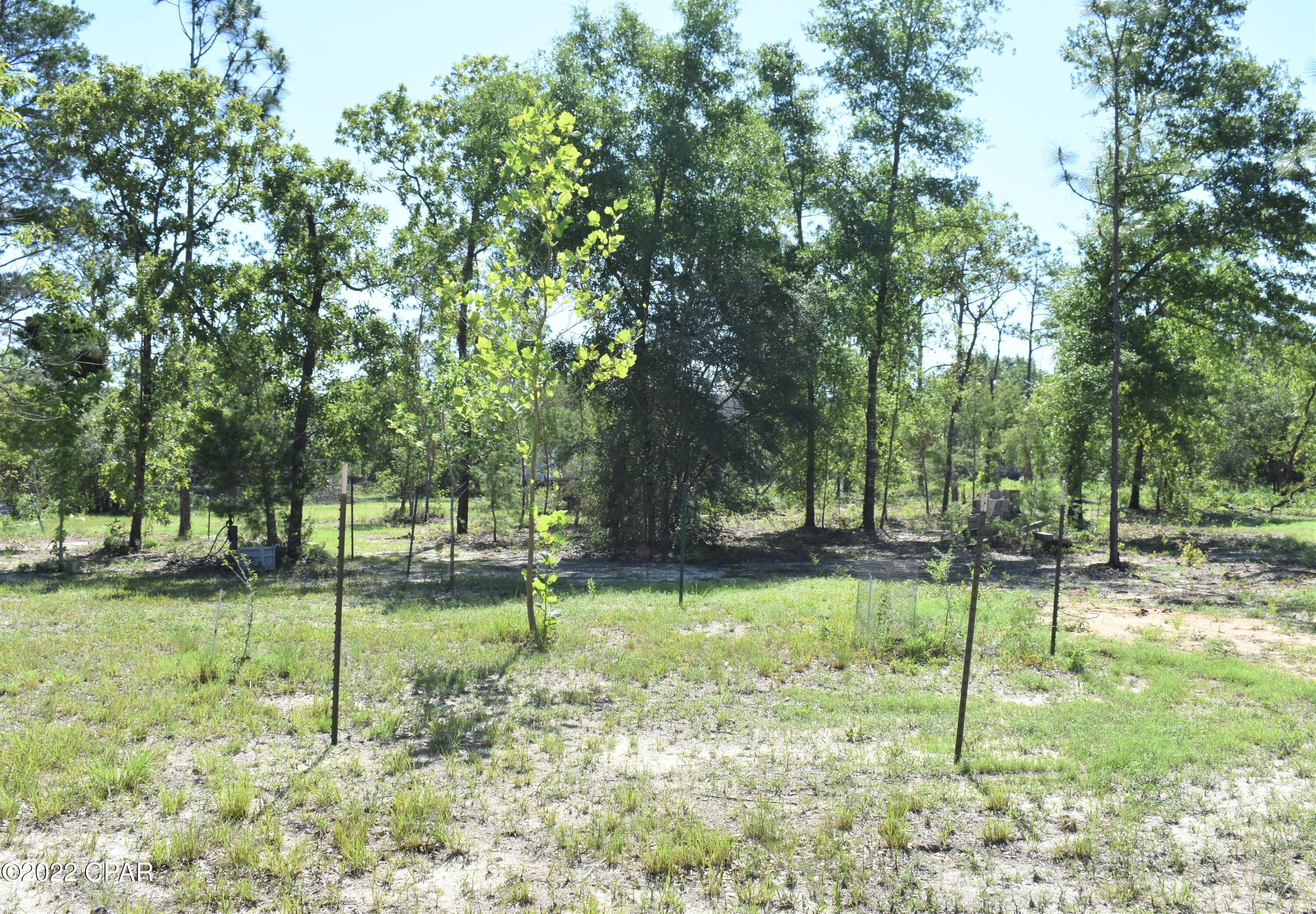 Buckhorn Creek - Residential