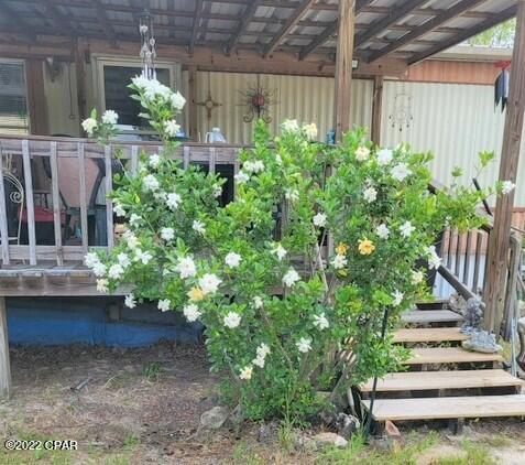 Buckhorn Creek - Residential