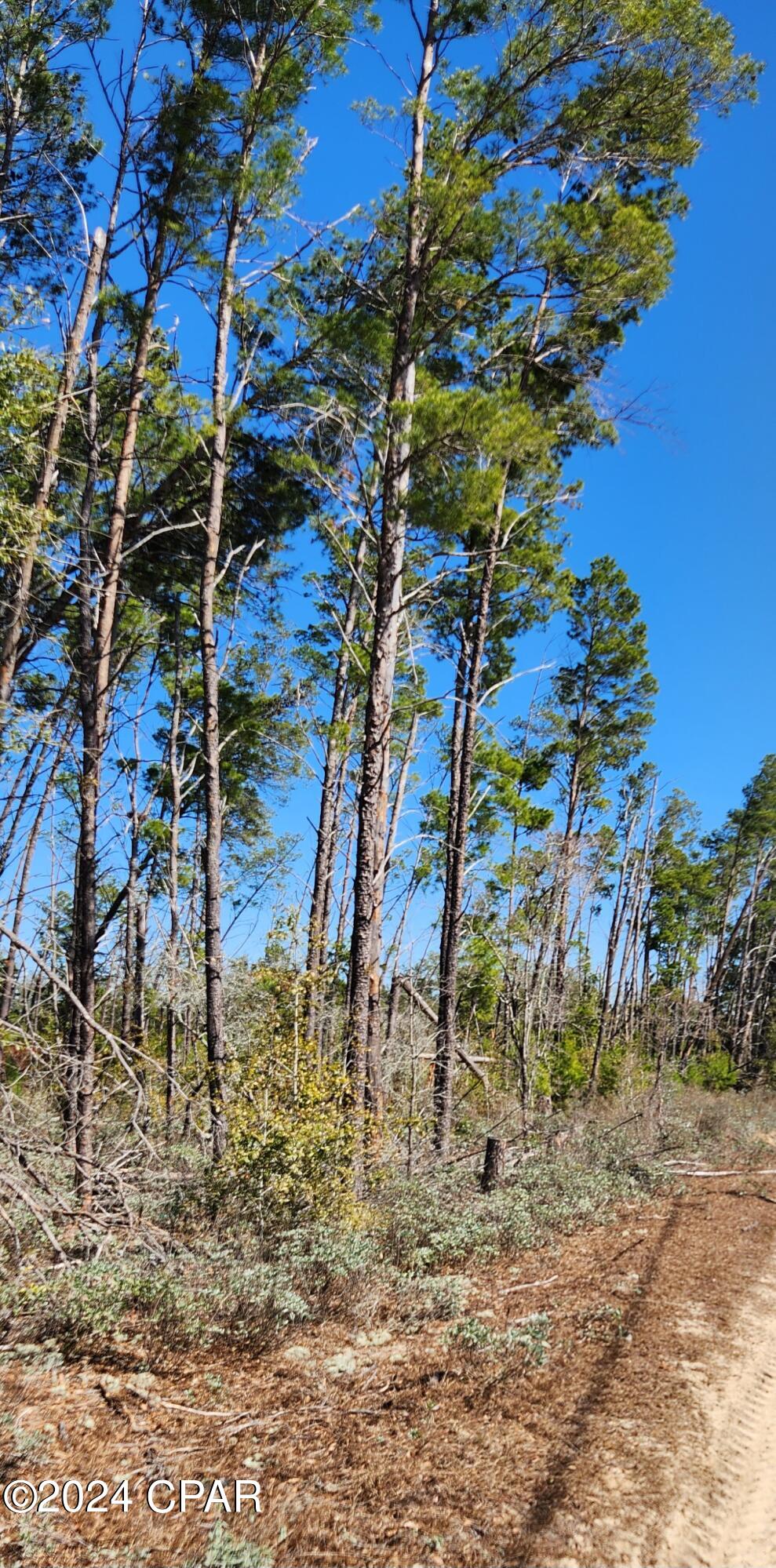 [No Recorded Subdiv] - Land