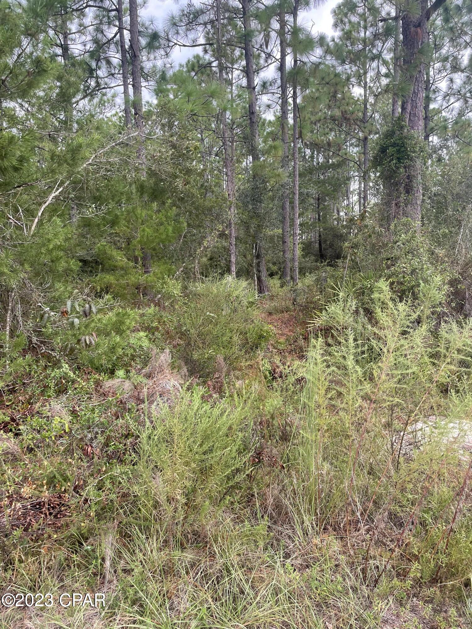 No Named Subdivision - Land