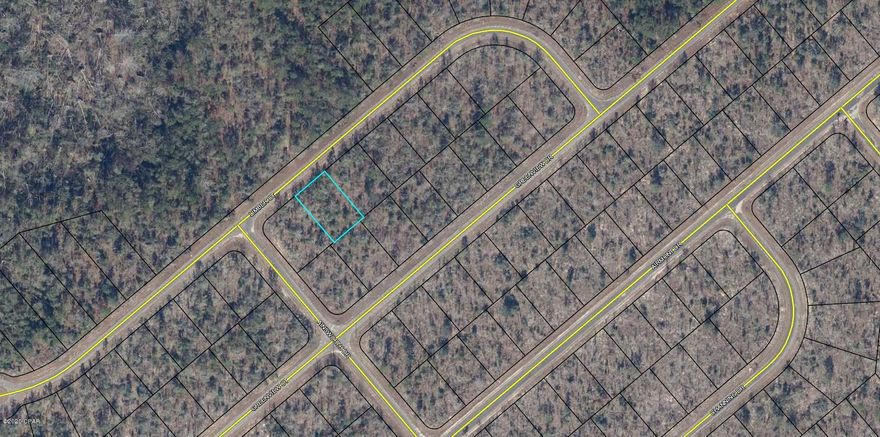 Building lot in Sunny Hills. This community is located 25 miles north of Panama City and 18 miles south of Chipley. Deed restricted (site built homes) community that offers a public 18 hole golf course, fishing lakes, and Boat Lake with it's white sand swimming beach. Great time to invest in the future of the Florida Panhandle ahead of the growth. Buyer to pay Title Insurance, Closing Fee, and Doc Stamps on the Deed (approx $455)