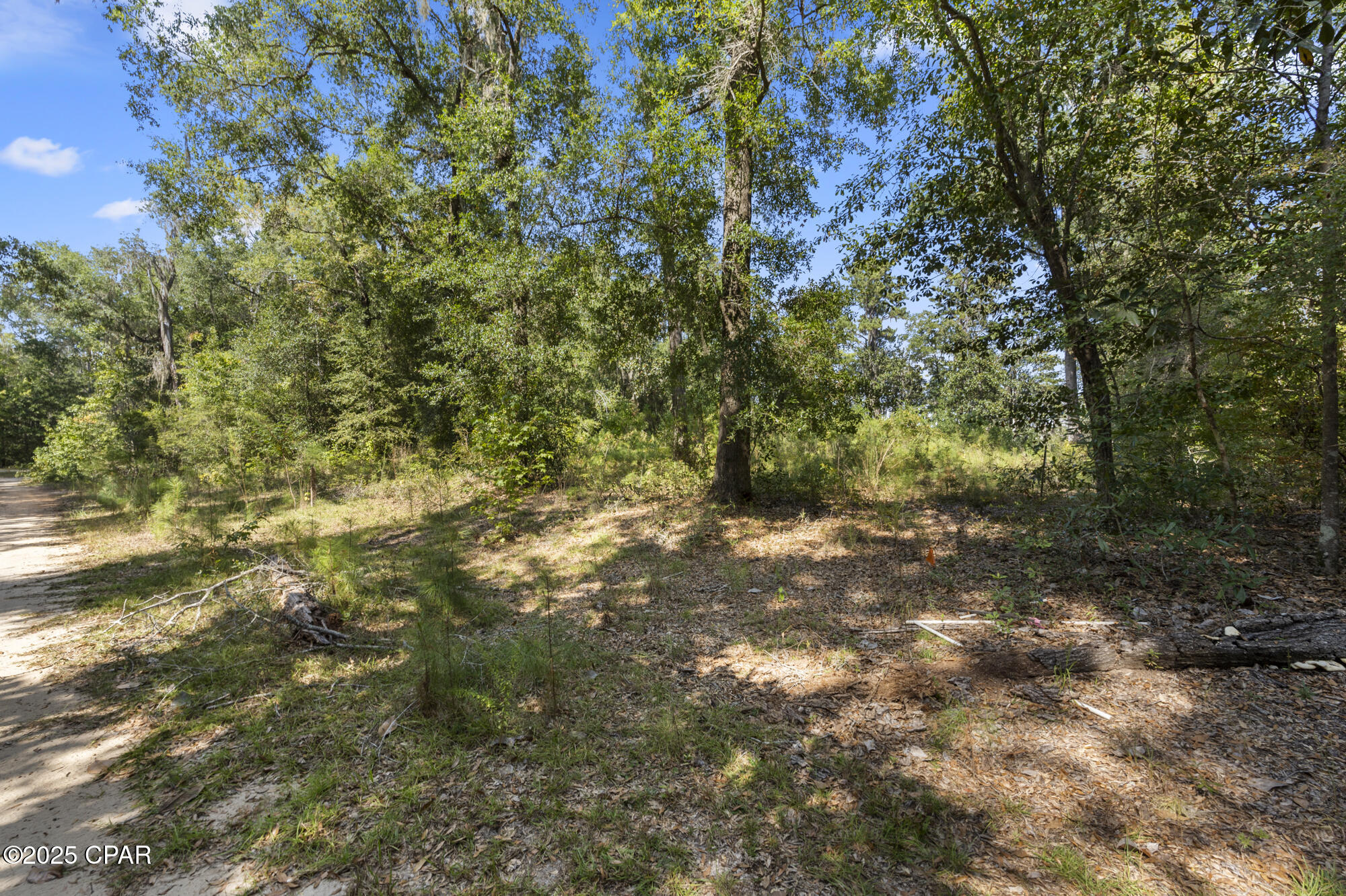 Paradise Lakes - Land