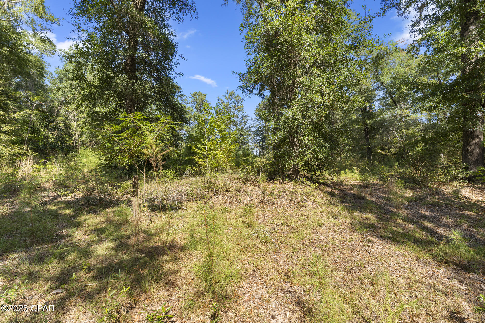 Paradise Lakes - Land