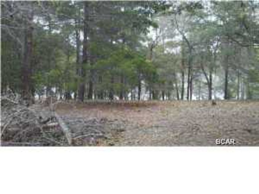 Lakefront lot located in gated community of Leisure Lakes. This is truly country living at its best! All amenities convey including: fishing, community pavilion with pool, tennis courts, basketball courts, and equestrian paths. Home next door is also for sale. Owner financing with reasonable terms.