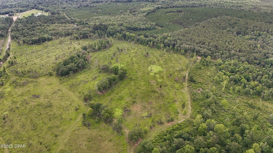 Beautiful 16.9+/- Acre tract in Northern Holmes County! This property features paved road access, some perimeter fencing, open pastureland, and scattered hardwoods. All of this while being located less than 30 minutes from Dothan, AL, offering you both the comfort of space, and the conveniences of all necessities. Schedule your showing on this gem today!