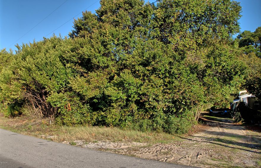 Perfect Home-site lot located in the popular Gulf Highlands Subdivision, which is close to everything on Panama City Beach! This great lot has nothing but trees for a back yard in this beautiful setting. Located just a little over a mile to the Beaches & Pier Park Center, you will be hard pressed to find a better lot deal! Call for details! All measurements are approximate, buyer to verify.