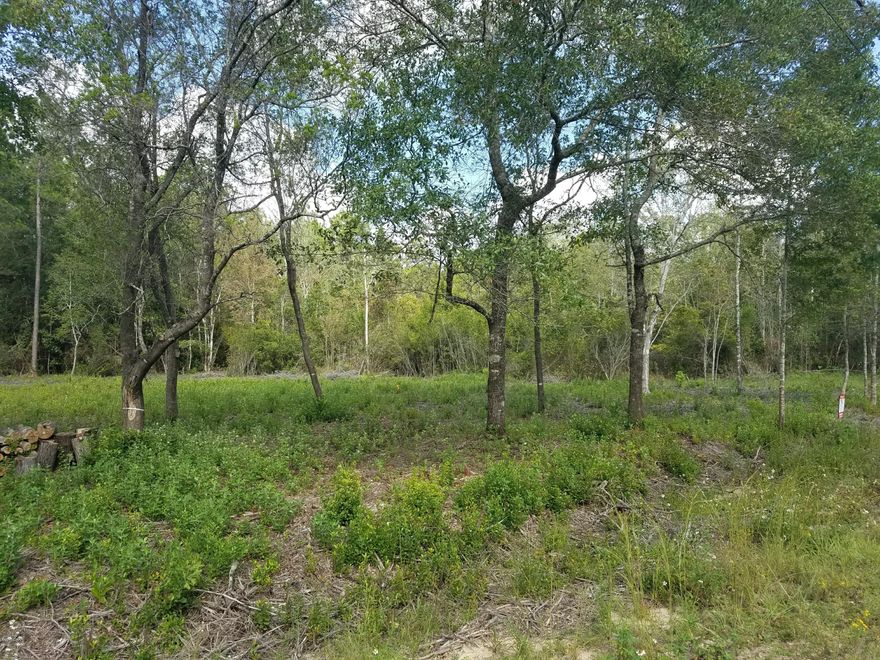 REDUCED! Motivated Seller. Looking for a place to park your RV? Beautiful 1.25 acres with great road frontage. Seller has current survey of property. It has been partially cleared. Only 3.2 miles to Hwy 231. It is a Flood Zone X.  Bring offers