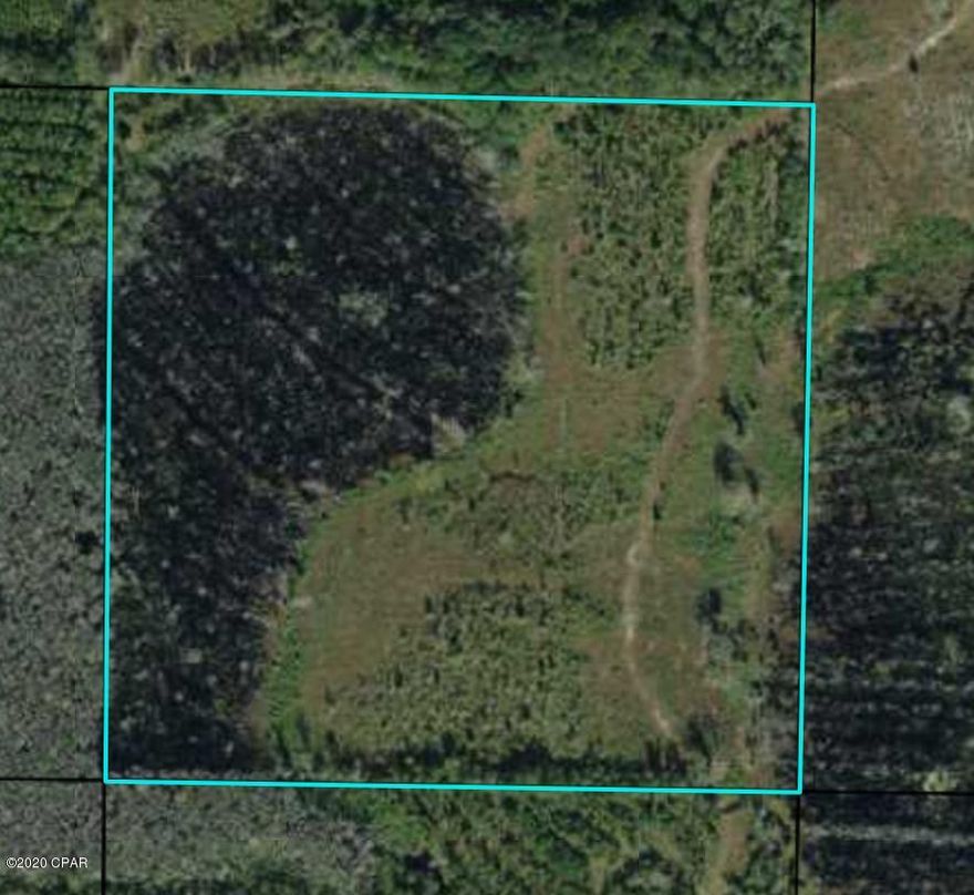 Nice secluded 40 acre tract of land of land about 45 min North of Panama City Fl. Excellent hunting, plenty of wildlife, legal easement for access. Very private and would make an excellent hunting camp.  Planted opines on about 20 acres approx 5 years old.