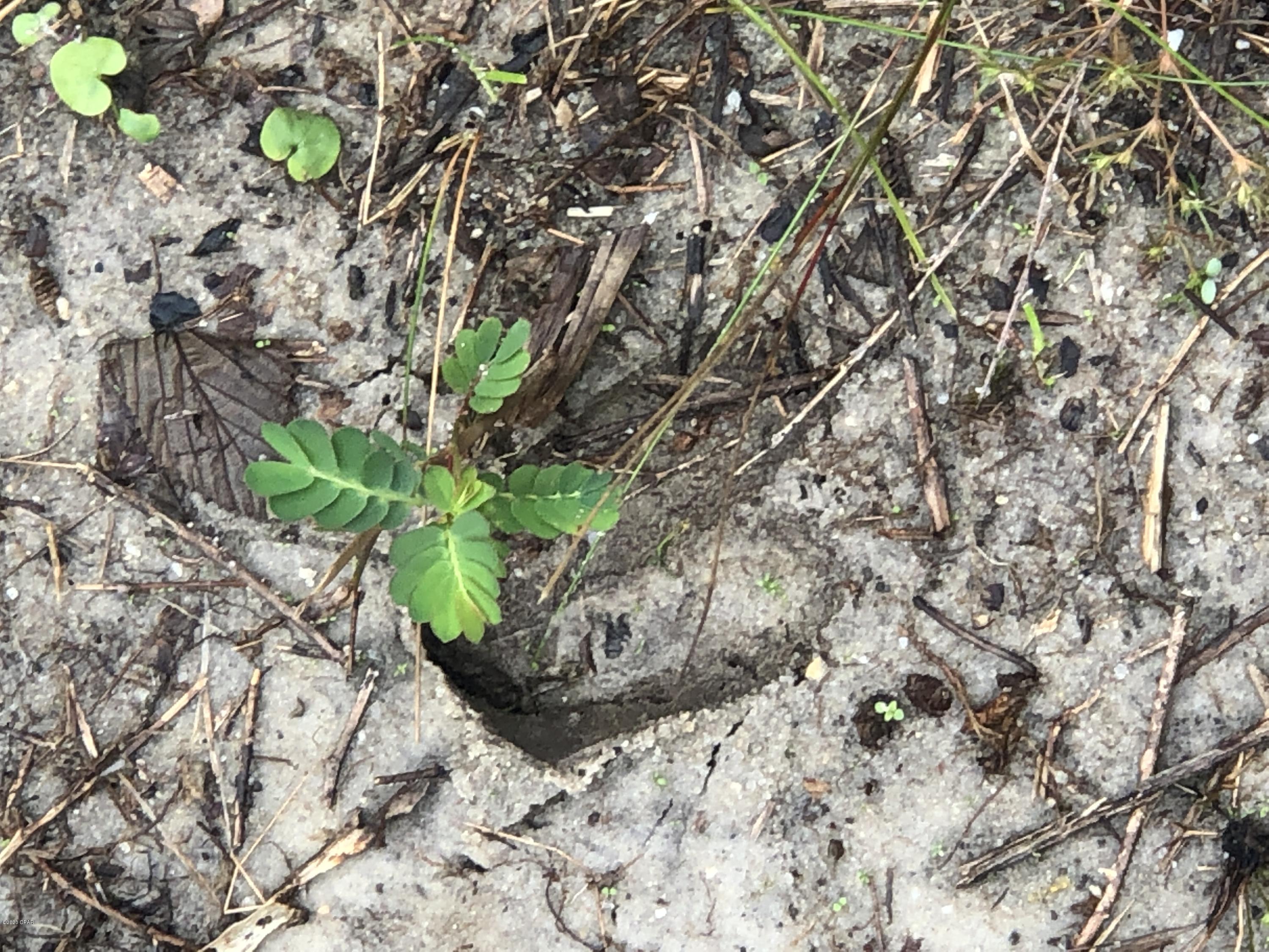 [No Recorded Subdiv] - Land