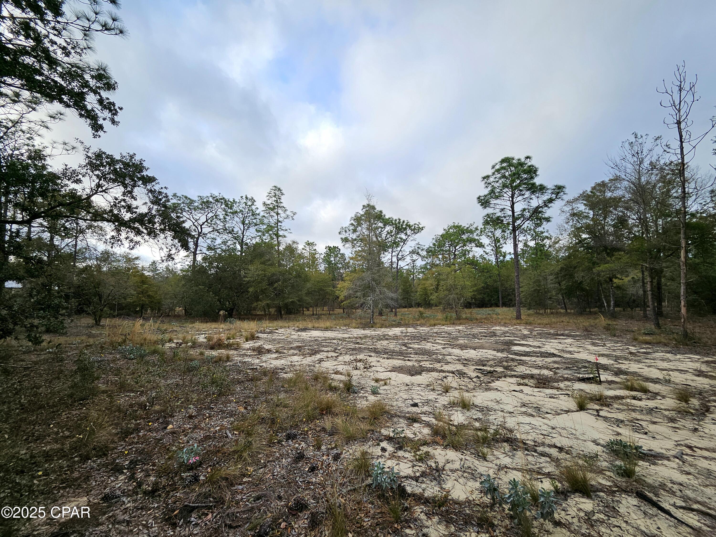 Leisure Lakes 1st Add - Land
