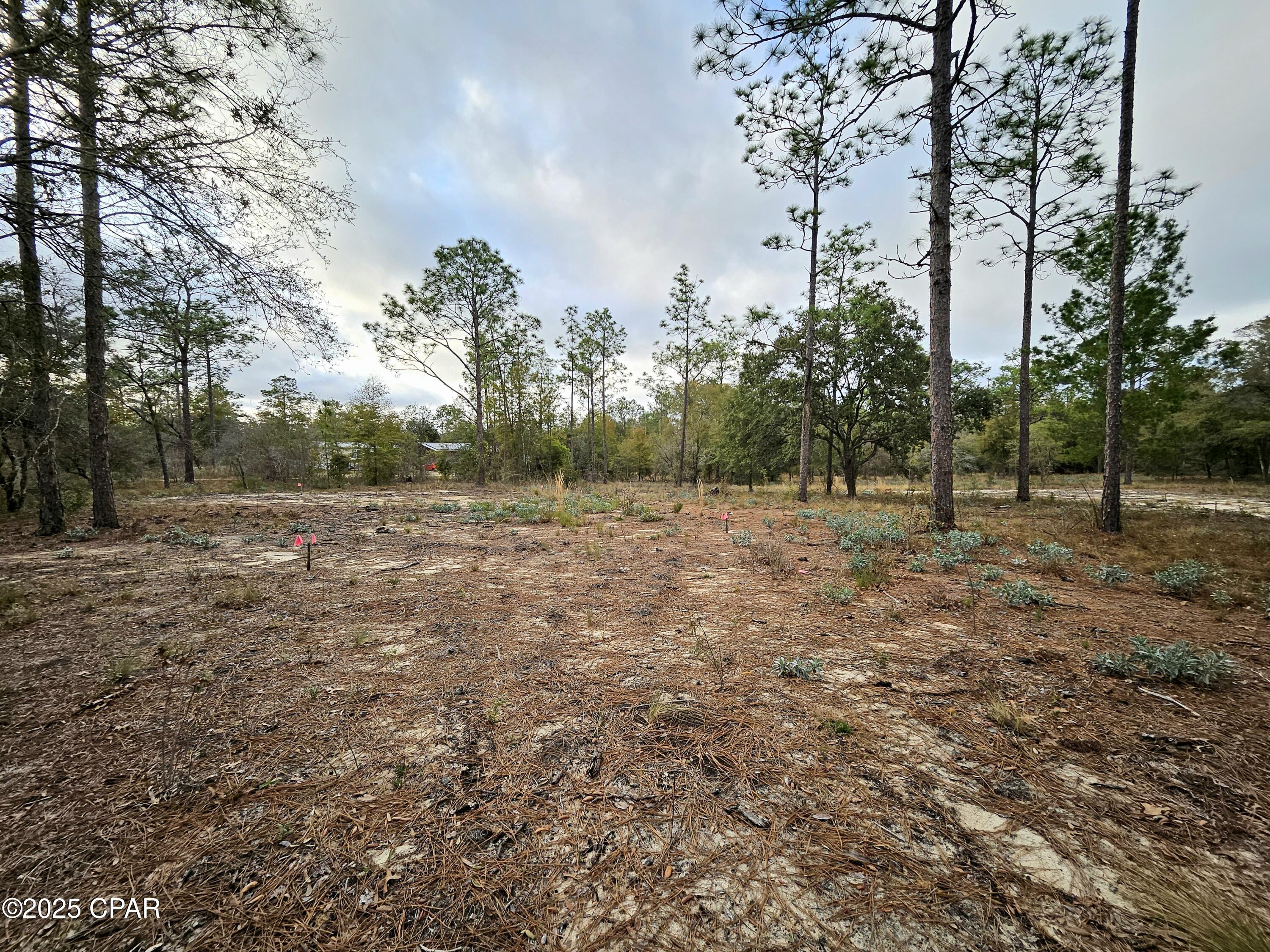 Leisure Lakes 1st Add - Land