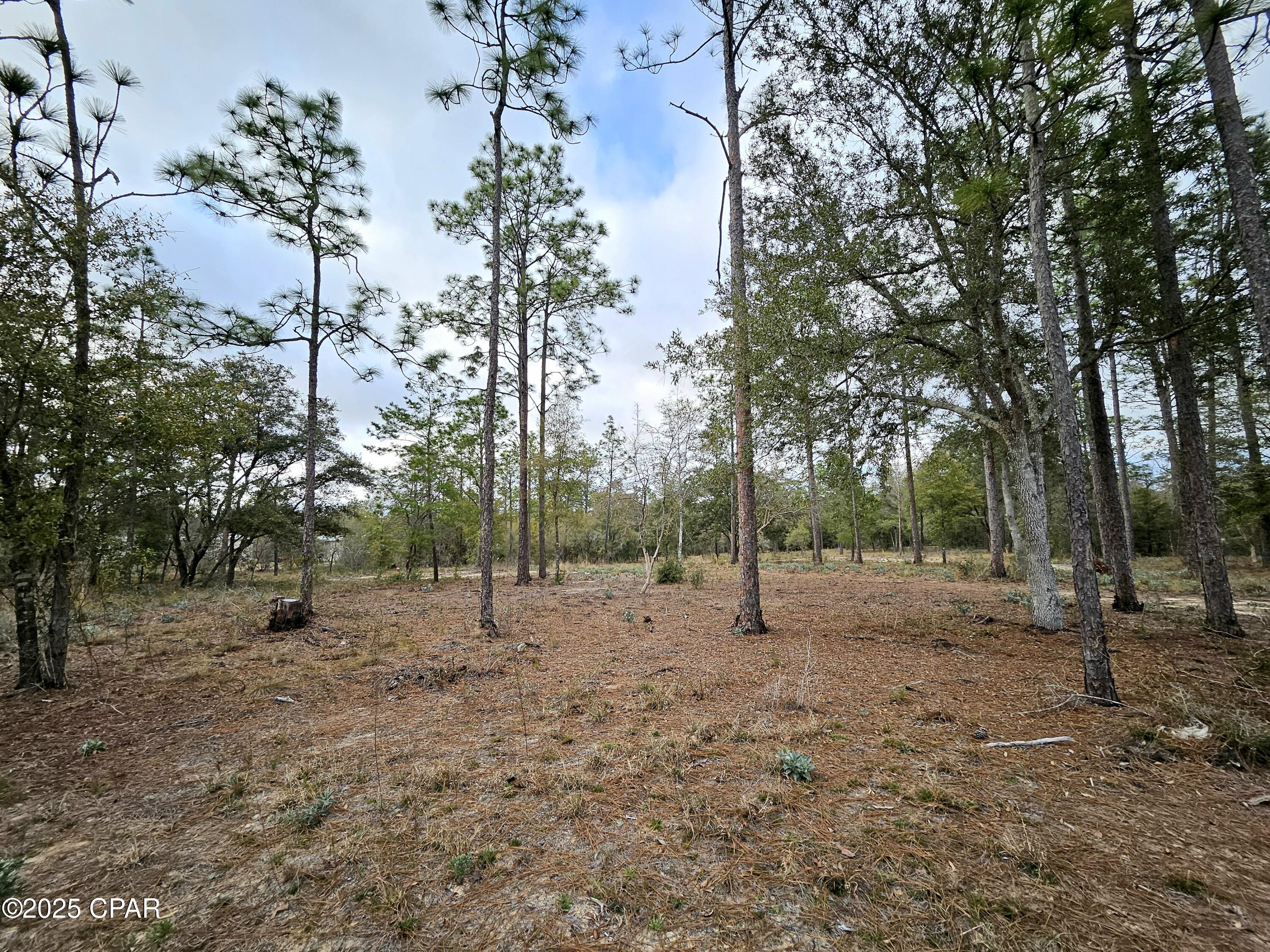 Leisure Lakes 1st Add - Land