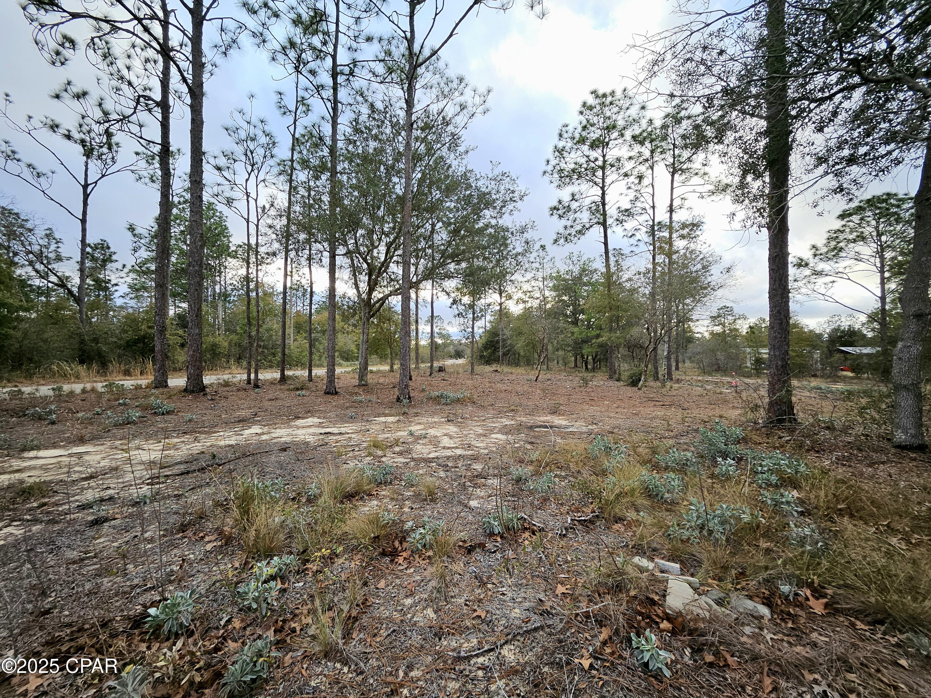 Leisure Lakes 1st Add - Land