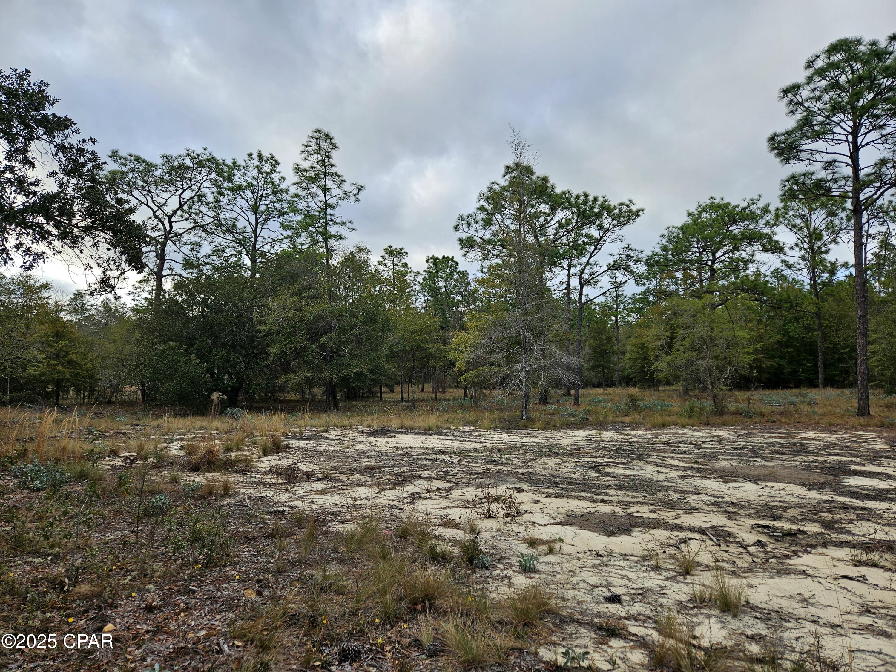 Leisure Lakes 1st Add - Land