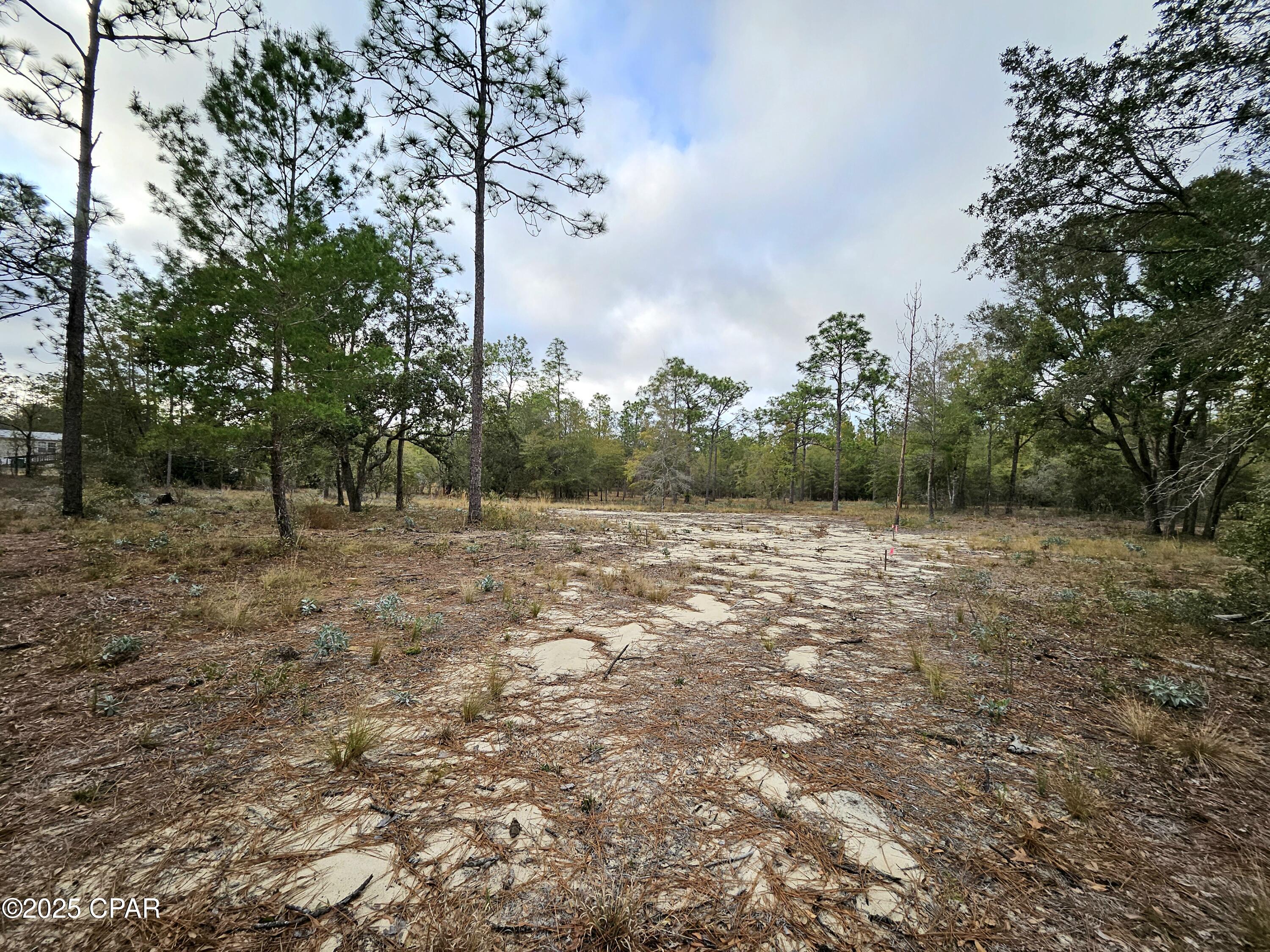 Leisure Lakes 1st Add - Land
