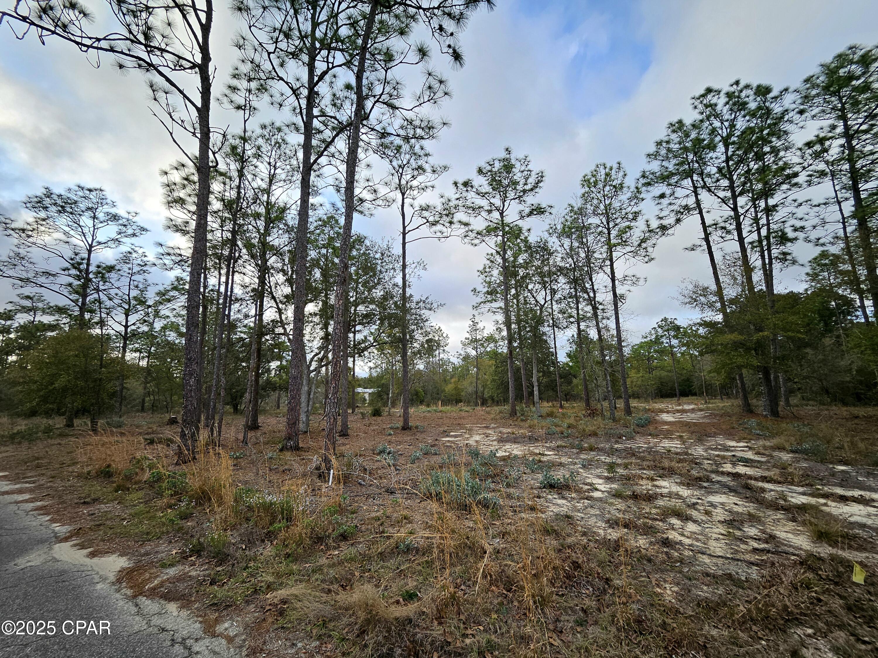 Leisure Lakes 1st Add - Land