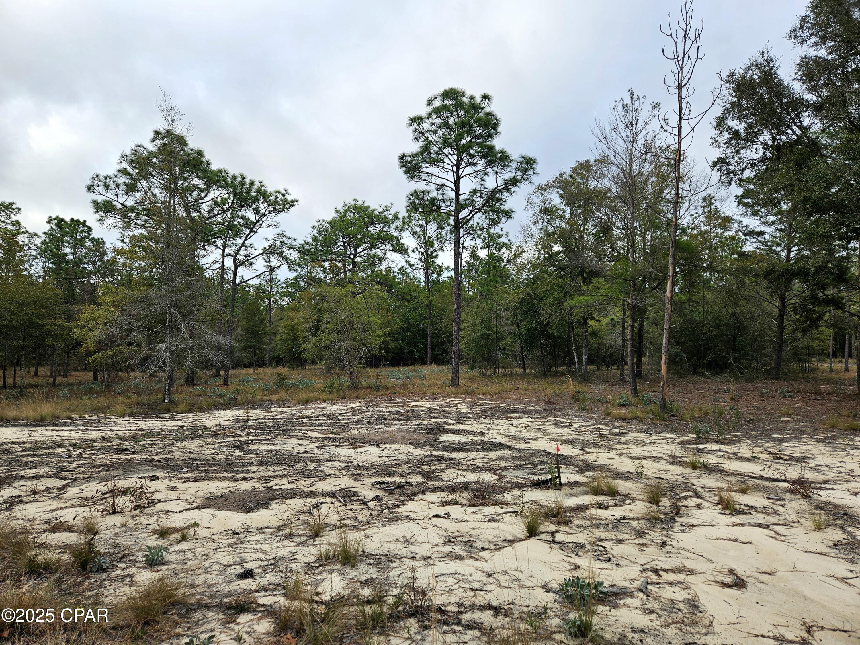 Leisure Lakes 1st Add - Land