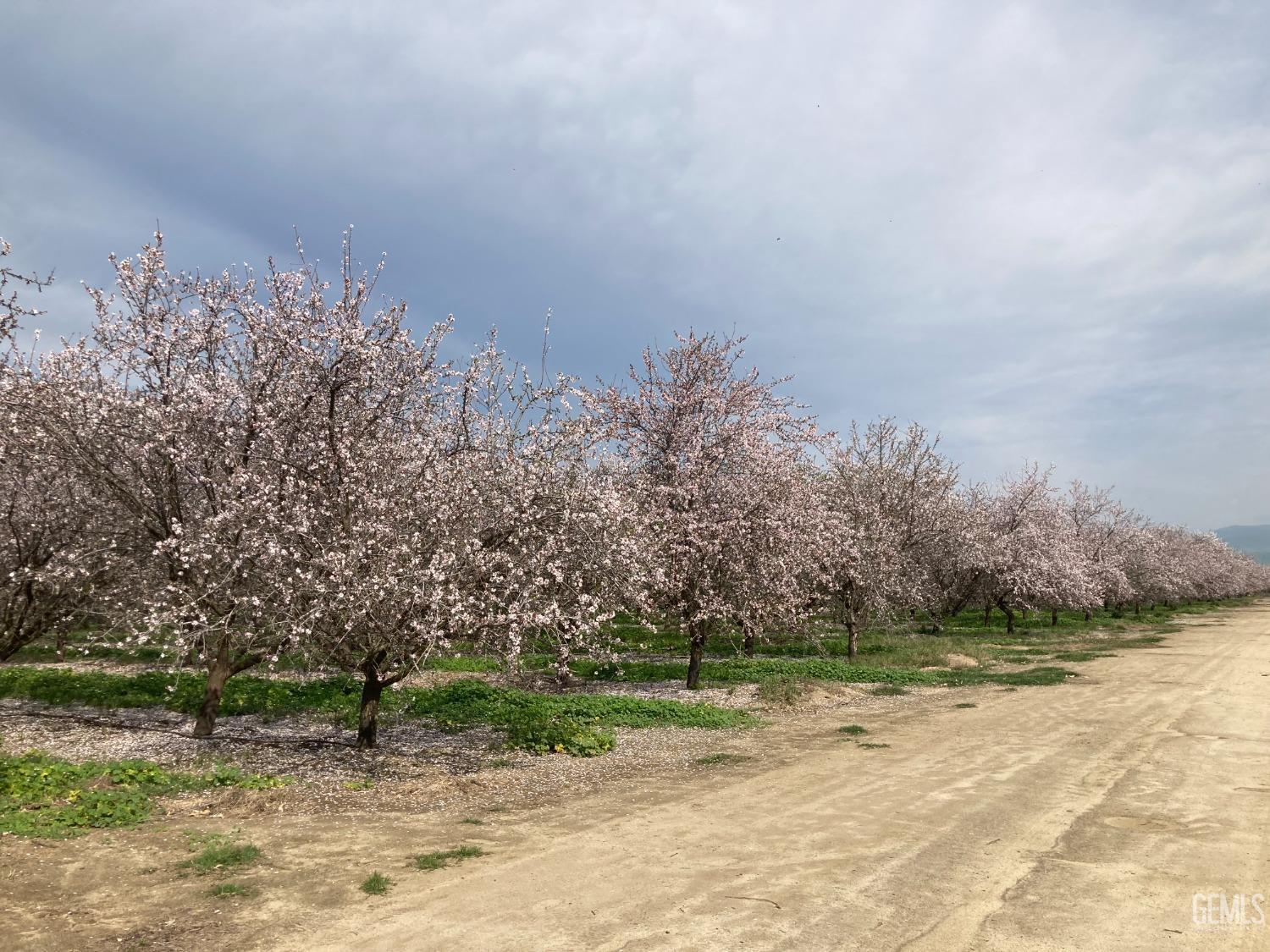 0 Panama Road

                                                                             Bakersfield                                

                                    , CA - $4,750,000