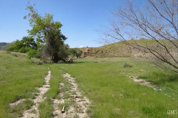 0 HWY 198, COALINGA, CA 93210 - Image 7b4143fa35aae3c71e45f14732beba8a/3507905778