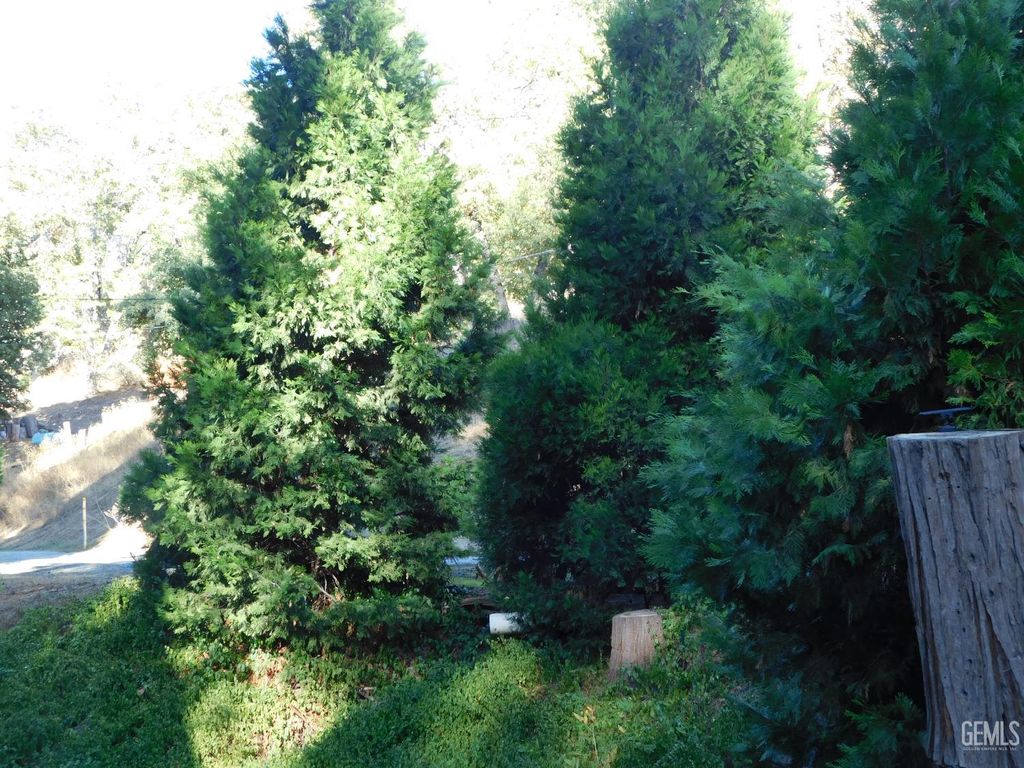 Photo of 45922 Devils Den Boulevard, Posey, CA 93260 (MLS # 202511396)