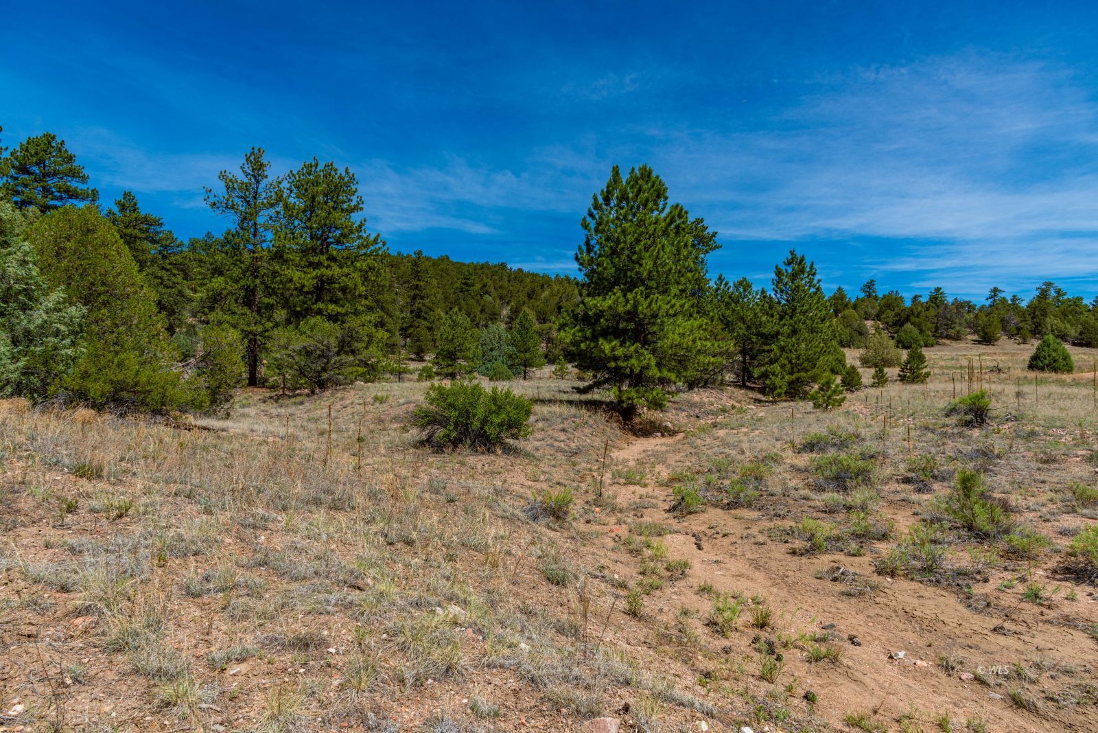 TBD L Arnold Dr - Photo 2