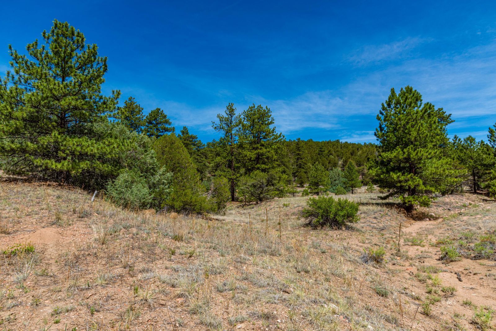 TBD L Arnold Dr - Photo 4