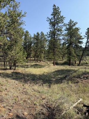 57 DEMOCRAT CIR, WESTCLIFFE, CO 81252 - Image 2cd951c82ef7fcc5fc1e6a0d34b26b22/4102304953